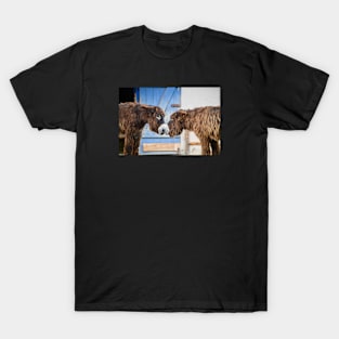 Donkey Kiss / Swiss Artwork Photography T-Shirt